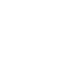 icone instagram